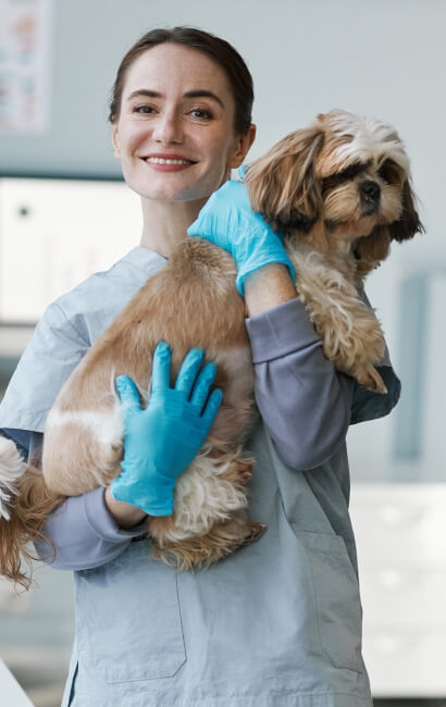 Doctor holding dog